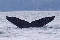 UASEJMS200508051009_140.gif